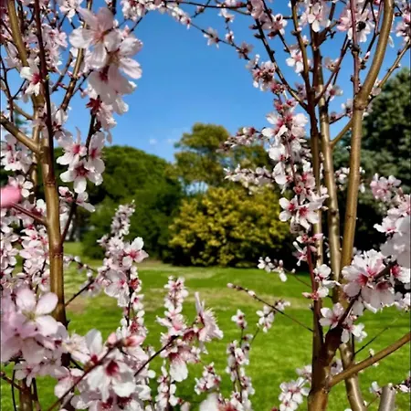 Appartement Résidence Privée Avec Balcon, Piscine Et Place De Parking